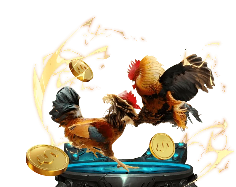 Hướng dẫn cách chọn nền tảng đá gà trực tuyến uy tín